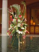 Tropical Standing Spray